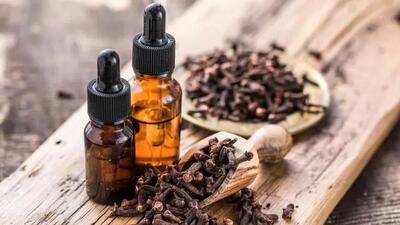 گیاهی شگفت‌انگیز برای کنترل قند خون و کاهش وزن