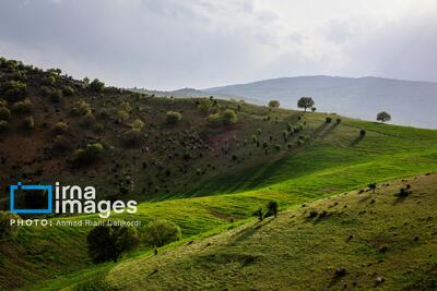 تصاویر: دره عشق