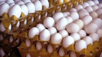 تخم مرغ درب مرغداری به کیلویی ۲۵ هزار تومان رسید