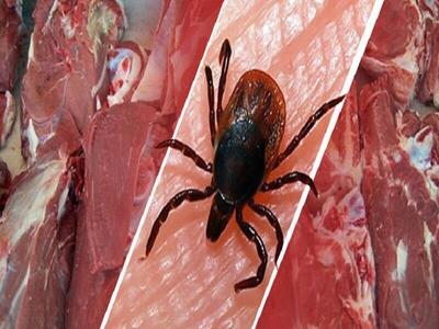 افزایش خط ابتلا به بیماری تب کریمه با گرمی هوا/پرهیز از خوردن گوشت و جگر خام و نیم پخته
