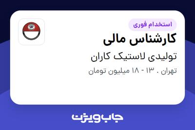 استخدام کارشناس مالی - خانم در تولیدی لاستیک کاران
