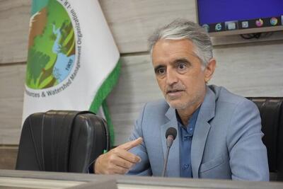بهره مندی ۸ هزار خانوار عشایر کوچ رو از مراتع خراسان جنوبی