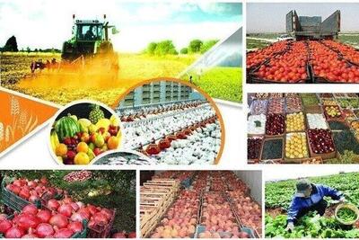 برنامه ریزی گسترده قزوین برای توسعه روابط اقتصادی با عراق