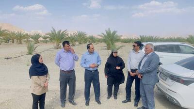 حفظ سرمایه‌های محیط زیست کرمان با اجرای طرح های مشارکتی