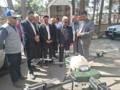 مانور همگانی مبارزه با آفت سن گندم در تربت جام برگزار شد