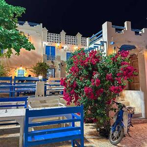 اربیان تی هاوس قشم؛ طعمی از فرهنگ عربی در قلب جزیره - پایگاه خبری مدارا
