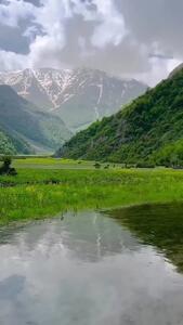 منظزه بکر و چشم نواز دشت دریاسر تنکابن / زیبایی چشم نواز + فیلم