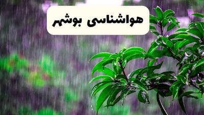 پیش بینی هواشناسی بوشهر فردا سه شنبه | پیش‌ بینی آب و هوا بوشهر فردا سه شنبه ۲۶ فروردین ۱۴۰۴ | وضعیت آب و هوای بوشهر فردا