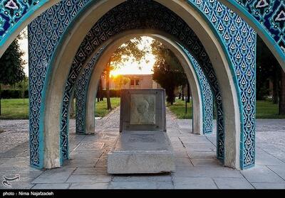 آفتابی در میان سایه‌ای - تسنیم