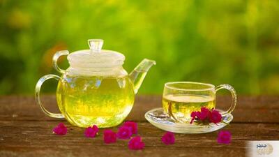 چای سبز برای بدن معجزه میکند/ خوردن آن را در مصرف روزانه قرار دهید