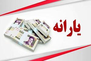 شارژ 1/950/000 تومان در کارت یارانه سرپرستان خانوارها