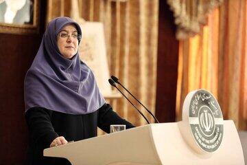 مهاجرانی: دولت از افزایش قیمت دلار سود نمی‌برد