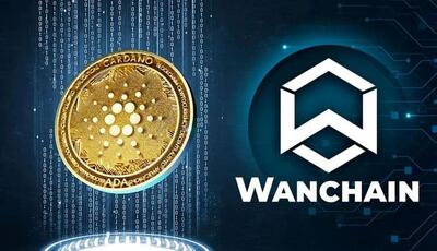 آینده قیمت کاردانو چه می‌شود ؛ صعود یا سقوط؟