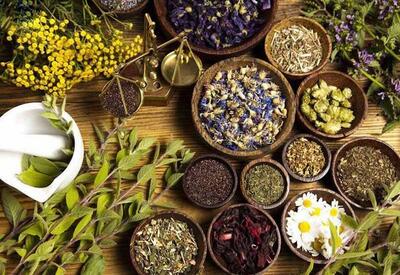 لاغری و کنترل قند خون با گیاهی شگفت‌انگیز