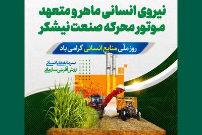 مزرعه‌ی نیشکر ما، نماد همکاری‌ست و هر ساقه‌اش قصه‌ی همدلی کارکنان‌ست