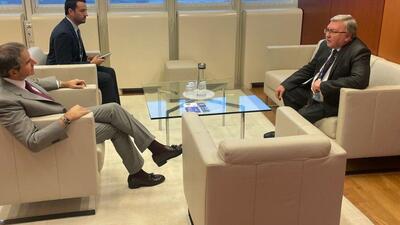 دیدار گروسی و اولیانوف در آستانه سفر مدیرکل آژانس به ایران