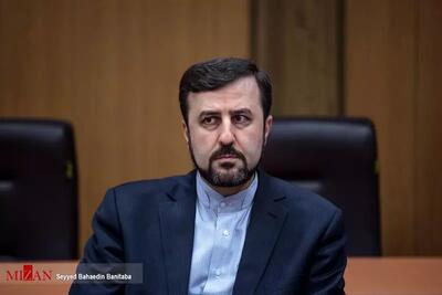 واکنش موسی فرهنگ سفیر ایران به ماجرای خودنویس طلا و کاظم غریب‌آبادی