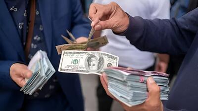 ورود بانک مرکزی به میدان دلار از دوربرگردان قیمت