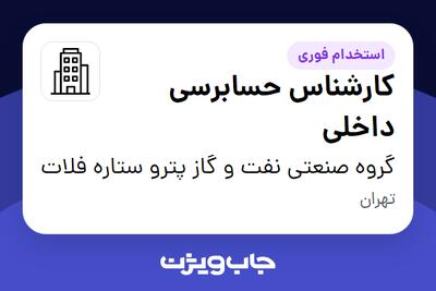 استخدام کارشناس حسابرسی داخلی در گروه صنعتی نفت و گاز پترو ستاره فلات