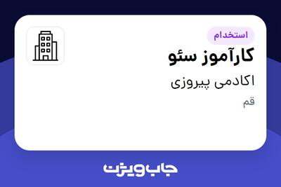 استخدام کارآموز سئو در اکادمی پیروزی