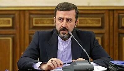 تکذیب ماجرای خودکار طلا از سوی سفیر ایران در عمان