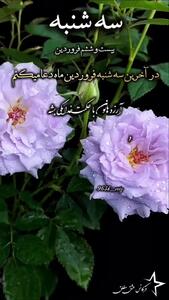 جملات بهاری + فیلم
