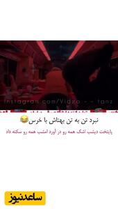 سکانس جذاب سریال پایتخت؛ نبرد نفس‌گیر بهرام افشاری و خرس ورزقان واقعی ارزش صدبار دیدن رو داره/ وقتی بهتاش خودشو فدای خانواده میکنه!
