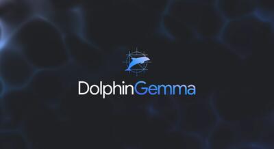 گوگل از هوش مصنوعی DolphinGemma برای رمزگشایی زبان دلفین‌ها رونمایی کرد