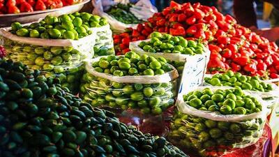 خبر خوش برای خریداران: قیمت گوجه سبز تا ۲۰ روز آینده کاهش می‌یابد!