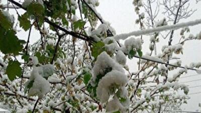 بارش برف بهاری در روستا‌های شهرستان کلیبر