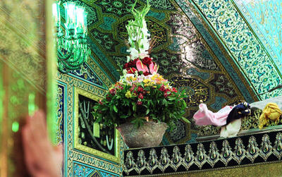 گل های طبیعی ضریح امام رضا چه می‌شوند؟ - آینه فردا