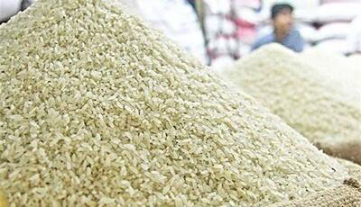 آماری عجیب از دور ریز برنج در کشور؛ روزانه 8 تُن!