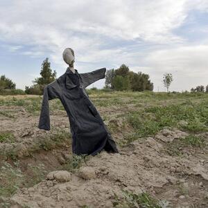 بحران آب، تهدیدی جدی برای کشاورزی گلستان