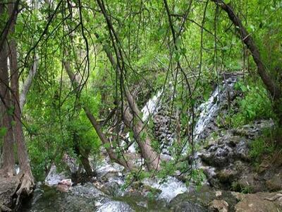 تفرجگاه‌های درگز جمعه تعطیل است