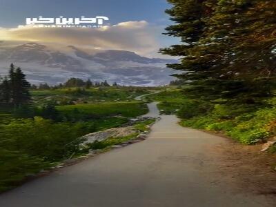 پارک ملی کوه رینیر در آمریکا