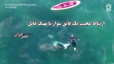 ارتباط عجیب یک قایق سوار با نهنگ قاتل؛ غافلگیری در طبیعت