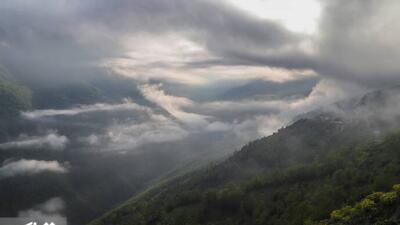 طبیعت بهاری کوهستان چالوس
