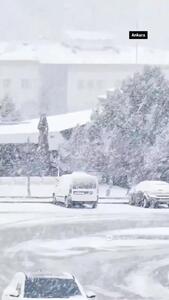 ویدیویی از برف، باران و طوفان در میانه بهار