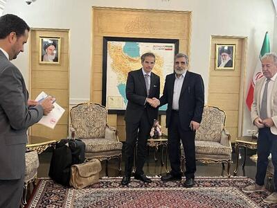 استقبال سخنگوی سازمان انرژی اتمی از گروسی در تهران