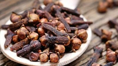 مصرف این گیاه دارویی شما را لاغر می‌کند