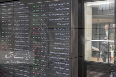 اهمیت آپشن‌ها در تلاطمات