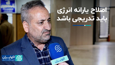 اصلاح یارانه انرژی باید تدریجی باشد