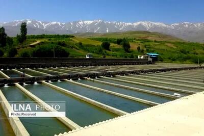 بیش از ۲۰ هزار نفر در صنعت پرورش ماهی استان مشغول ‌به ‌کار هستند