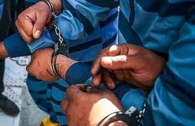 چهار نفر از اراذل و اوباش در ایلام دستگیر شدند