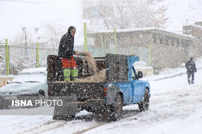 رانندگان در محورهای مواصلاتی زنجان زنجیرچرخ به همراه داشته باشند