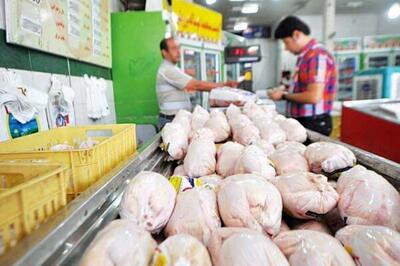قیمت مرغ بعد از گران شدن