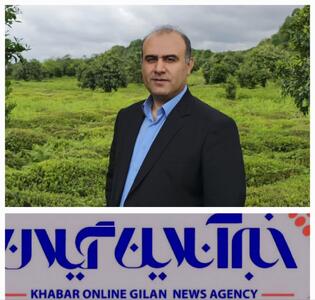 درخواست فرماندار لنگرود برای اخذ ضمانت از کارخانه‌داران بدحساب چایسازی