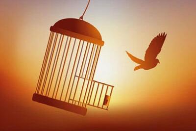 دومین زندانی جرایم غیر عمد به دست دانش‌آموزان انزلیچی آزاد شد