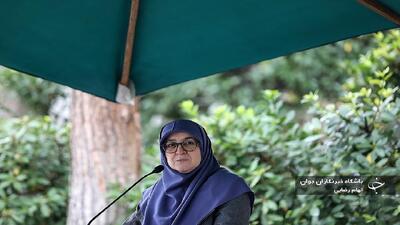مهاجرانی: هیچ کدام از موضوعات کشور را به مذاکرات گره نمی‌زنیم