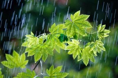 برف و سرما در راه شمال کشور